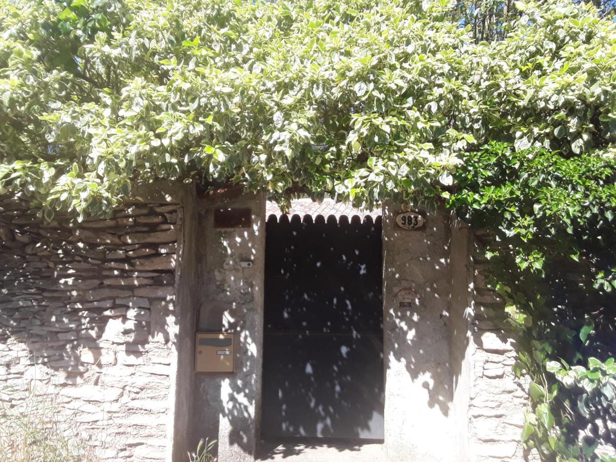 Chambres D'Hotes Lovely Planette Nimes Exterior photo
